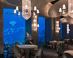 Atlantis The Palm 05